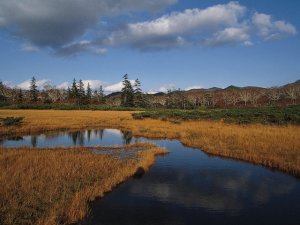 法律問題の解決